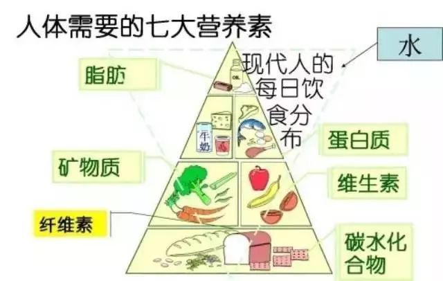 花費(fèi)3萬(wàn)塊找營(yíng)養(yǎng)師咨詢減肥，梳理出的精華內(nèi)容都在這里！減肥必看！